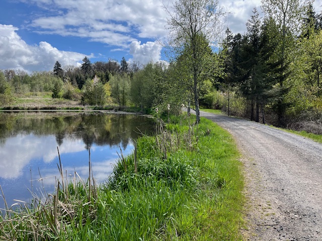 Silverton Pettit Reservoir Trail