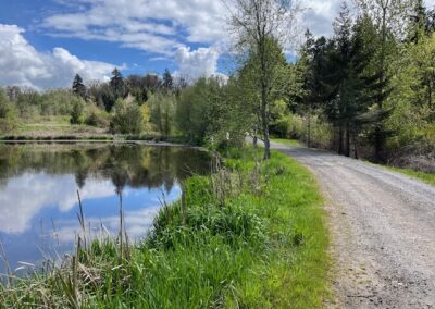 Silverton Pettit Reservoir Trail