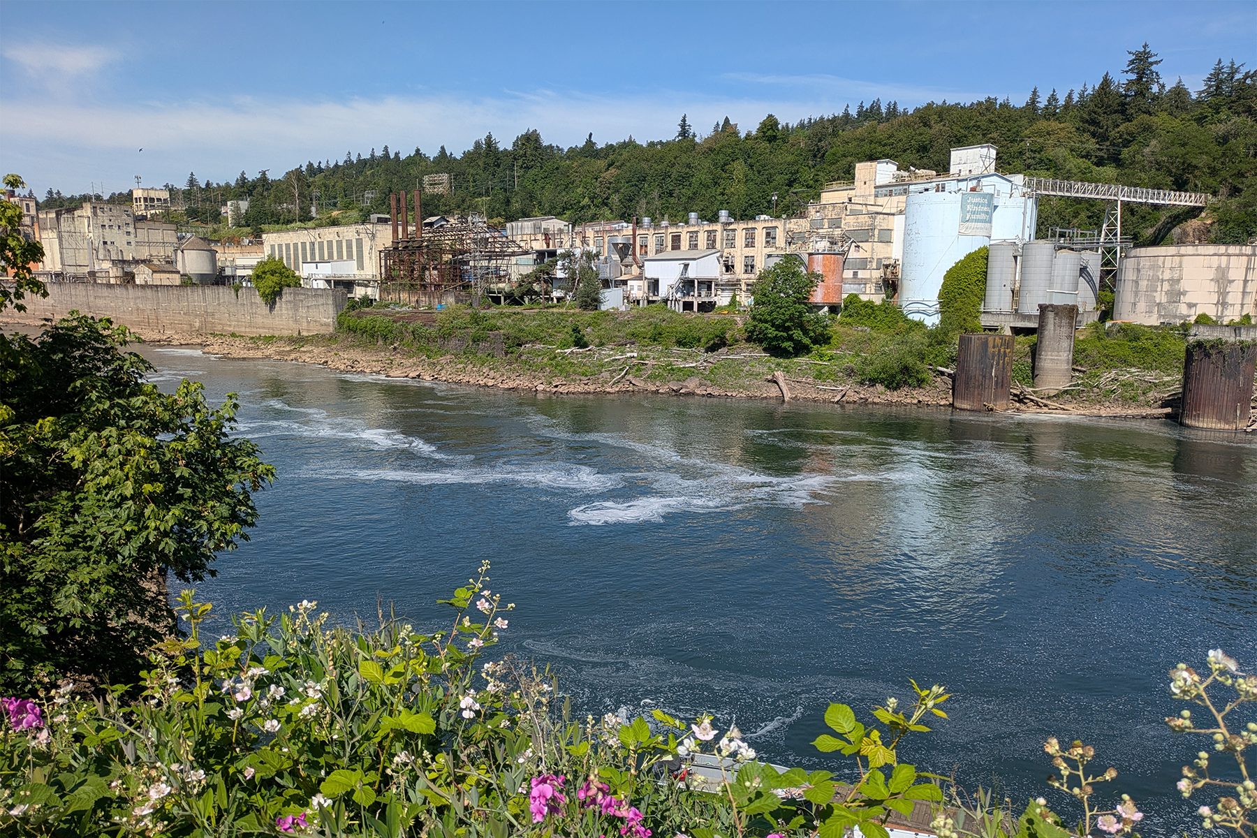 Willamette Falls